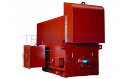 全密閉鋼制外殼高壓電機(jī)AEZK-功率框號清單-WUXI TECO